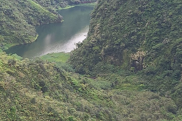 Eventyrlig 4x4-tur gjennom Tahitis frodige innland, med fossefall, fjell og naturlige bassenger, foto 21 | wizardtrip