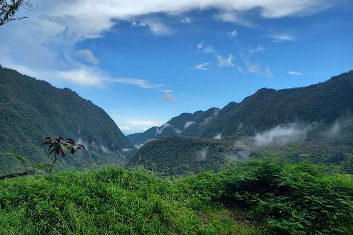 Eventyrlig 4x4-tur gjennom Tahitis frodige innland, med fossefall, fjell og naturlige bassenger, foto 24 | wizardtrip