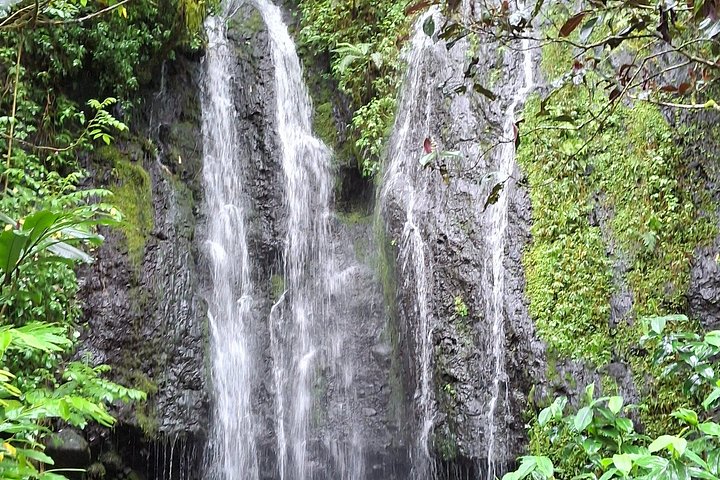 Eventyrlig 4x4-tur gjennom Tahitis frodige innland, med fossefall, fjell og naturlige bassenger, foto 30 | wizardtrip