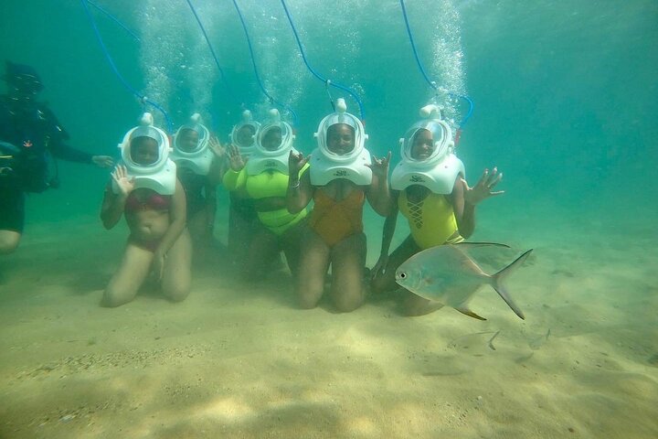 Mergulho Subaquático Sea Trek em San Juan, caminhando no fundo do oceano entre a vida marinha, foto 7 | wizardtrip