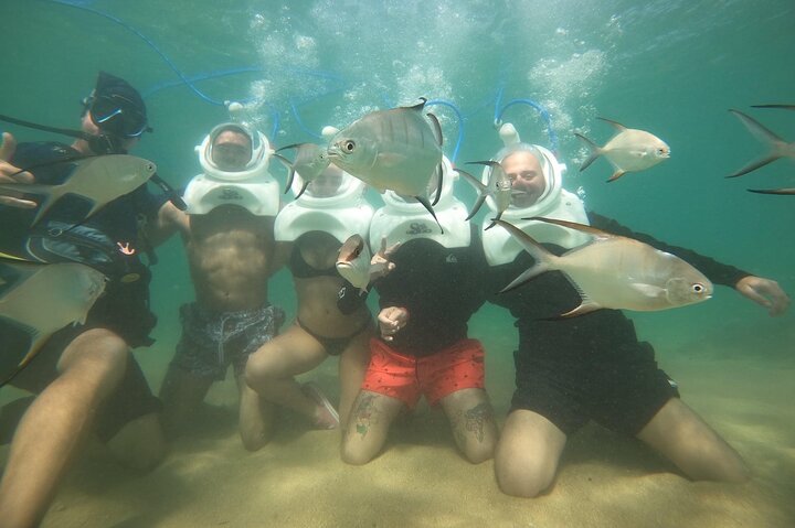 Mergulho Subaquático Sea Trek em San Juan, caminhando no fundo do oceano entre a vida marinha, foto 8 | wizardtrip