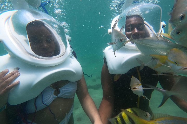 Mergulho Subaquático Sea Trek em San Juan, caminhando no fundo do oceano entre a vida marinha, foto 10 | wizardtrip