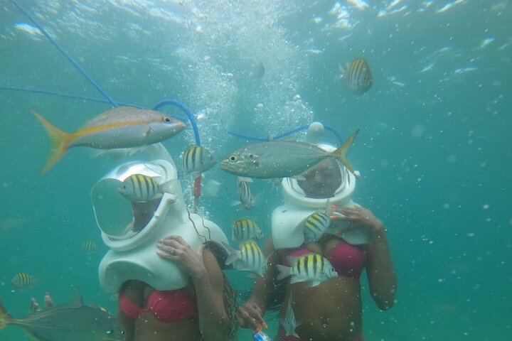 Mergulho Subaquático Sea Trek em San Juan, caminhando no fundo do oceano entre a vida marinha, foto 11 | wizardtrip