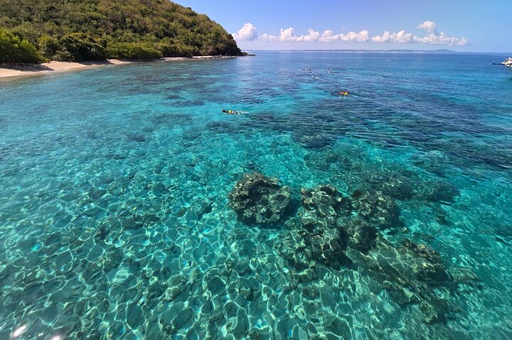 Passeio de barco e snorkel tudo incluído em Culebra a partir de Fajardo, Porto Rico, foto 15 | wizardtrip