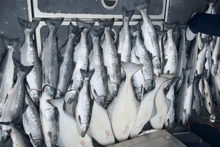 Genießen Sie ein aufregendes Lachs- und Heilbuttfang-Abenteuer in den Gewässern von Ketchikan, Alaska, Foto 16 | wizardtrip