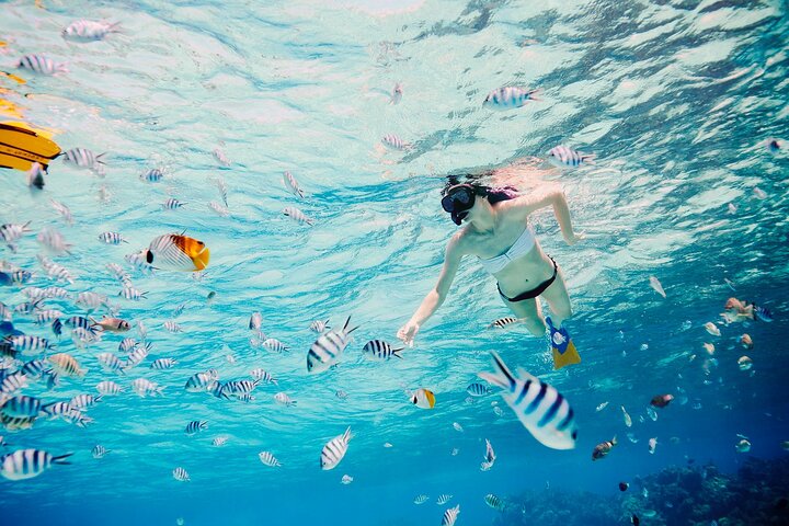 Excursion en groupe d'une journée dans le lagon de Bora Bora, incluant snorkeling avec la vie marine et déjeuner sur un motu, photo 7 | wizardtrip