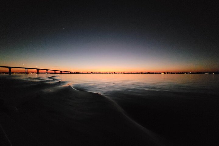 Scenic 2-hour sunset cruise in Clearwater, Florida, featuring dolphin sightings and Gulf of Mexico views, photo 6 | wizardtrip
