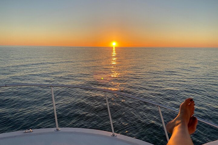 Scenic 2-hour sunset cruise in Clearwater, Florida, featuring dolphin sightings and Gulf of Mexico views, photo 12 | wizardtrip