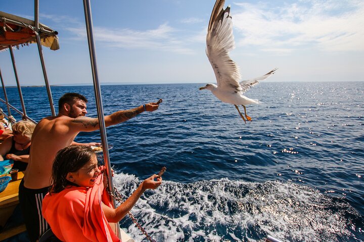Excursion en bateau pirate tout compris à Pula, Croatie, explorant grottes, phares et îles, photo 20 | wizardtrip