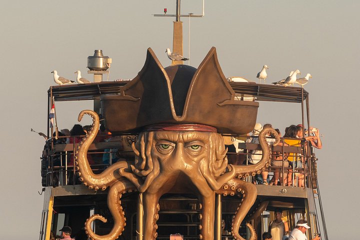 Medulin: Dolphin Sunset Cruise, All-Inclusive & Face Painting | wizardtrip