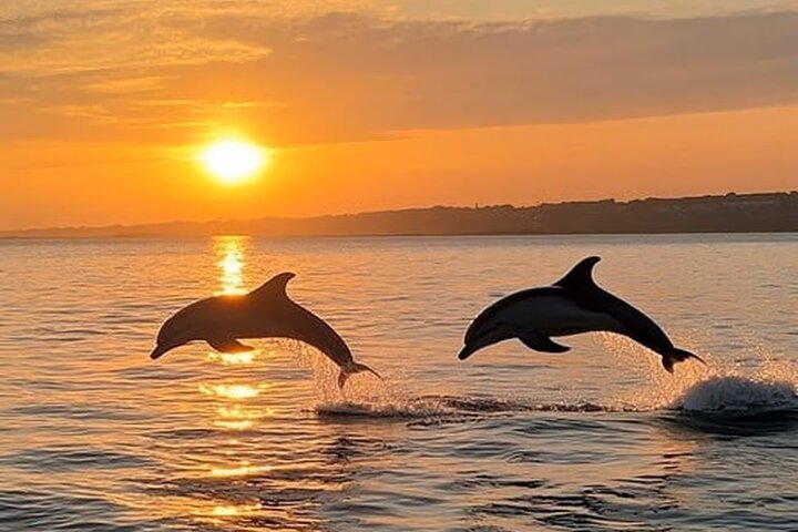 メドゥリンの夕日イルカクルーズ、カメンジャク岬とポレール灯台の景色、写真9 | wizardtrip