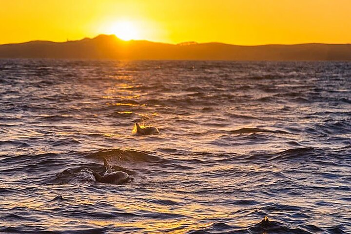 メドゥリンの夕日イルカクルーズ、カメンジャク岬とポレール灯台の景色、写真19 | wizardtrip