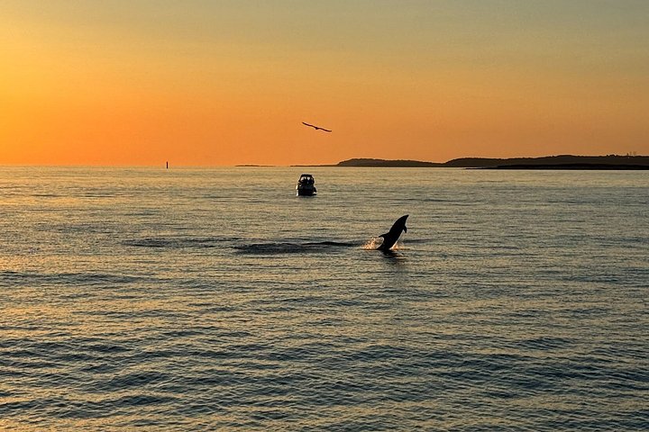 メドゥリンの夕日イルカクルーズ、カメンジャク岬とポレール灯台の景色、写真36 | wizardtrip