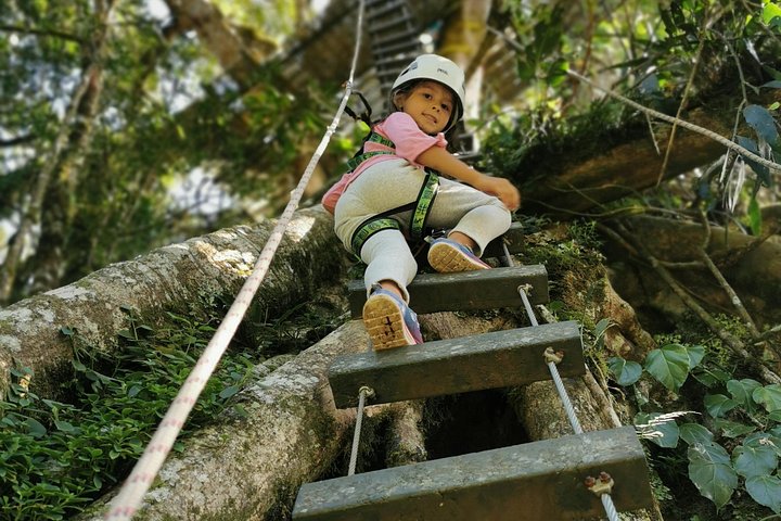 Experimente tirolesa, rapel e o Baloiço de Tarzan na floresta nublada de Monteverde, foto 6 | wizardtrip