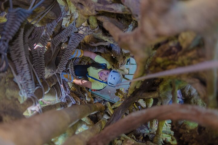 Experimente tirolesa, rapel e o Baloiço de Tarzan na floresta nublada de Monteverde, foto 10 | wizardtrip
