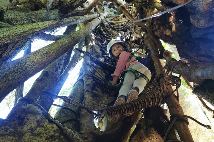 Experimente tirolesa, rapel e o Baloiço de Tarzan na floresta nublada de Monteverde, foto 12 | wizardtrip
