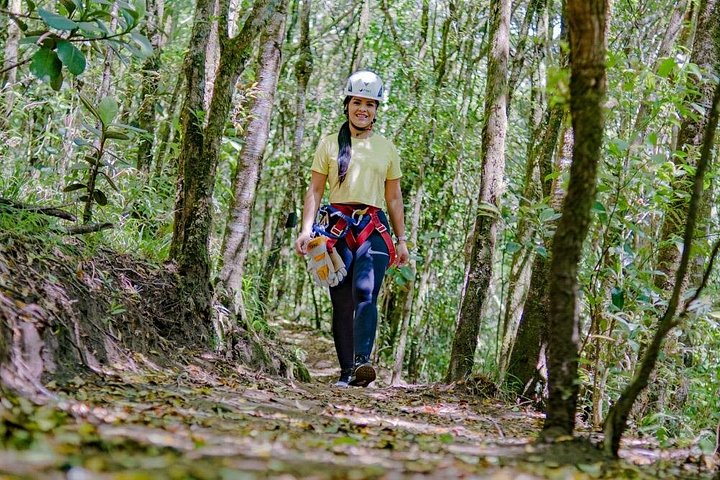 Experimente tirolesa, rapel e o Baloiço de Tarzan na floresta nublada de Monteverde, foto 15 | wizardtrip