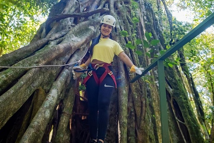 Experimente tirolesa, rapel e o Baloiço de Tarzan na floresta nublada de Monteverde, foto 17 | wizardtrip