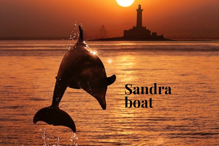 3-Hour All-Inclusive Sunset Dolphin Watching from Medulin on Sandra | wizardtrip