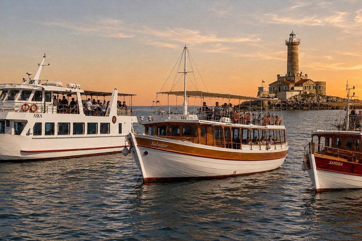 Sunset dolphin watching boat tour from Medulin, Croatia, with dinner and drinks, photo 6 | wizardtrip