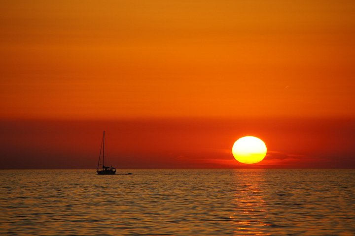 Sunset dolphin watching boat tour from Medulin, Croatia, with dinner and drinks, photo 14 | wizardtrip