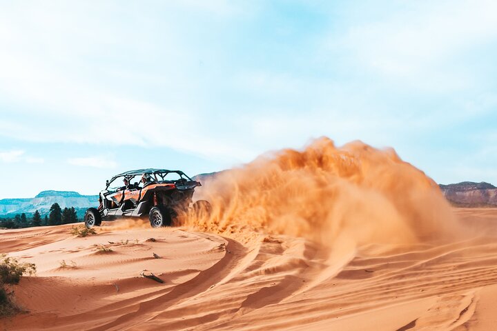Experimente um emocionante passeio de UTV e aventura de sandboarding no Coral Pink Sand Dunes State Park, Utah, foto 7 | wizardtrip