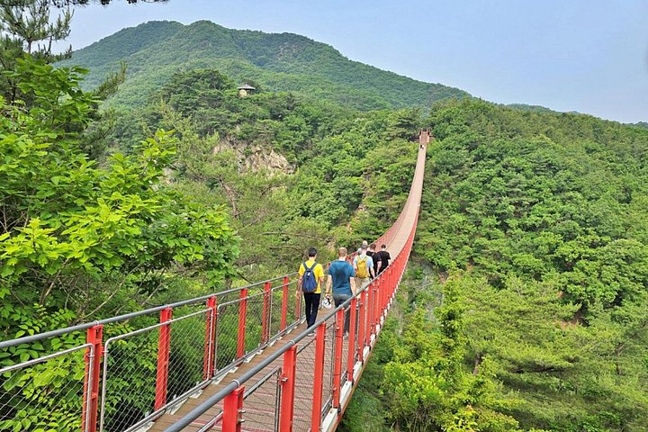 Kleingruppentour zur DMZ ab Seoul, inklusive historischer Stätten und Naturlandschaften, Foto 10 | wizardtrip
