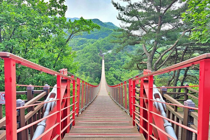 Kleingruppentour zur DMZ ab Seoul, inklusive historischer Stätten und Naturlandschaften, Foto 11 | wizardtrip