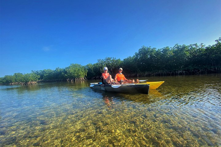 Mangrove Tunnel Kayak Adventure in Key Largo | wizardtrip