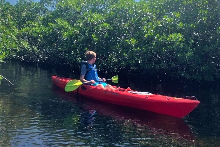 Kajakkpadling gjennom mangrovetunneler i Key Largo, Florida Keys, foto 8 | wizardtrip