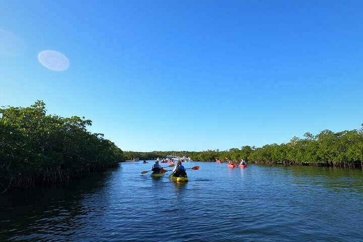 Kajakkpadling gjennom mangrovetunneler i Key Largo, Florida Keys, foto 9 | wizardtrip