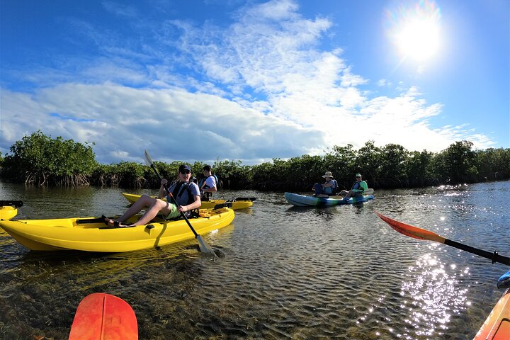 Kajakkpadling gjennom mangrovetunneler i Key Largo, Florida Keys, foto 12 | wizardtrip