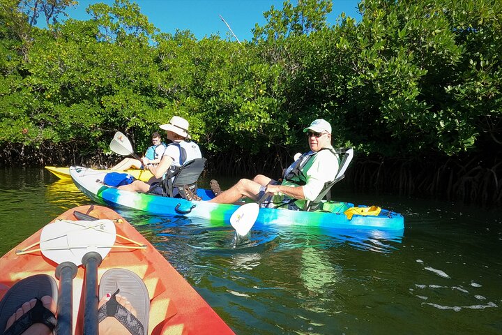 Kajakkpadling gjennom mangrovetunneler i Key Largo, Florida Keys, foto 13 | wizardtrip
