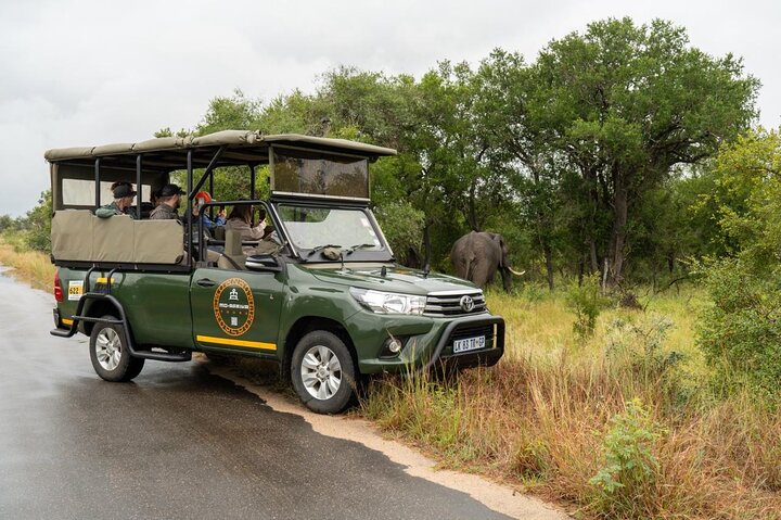 Krüger National Park | wizardtrip