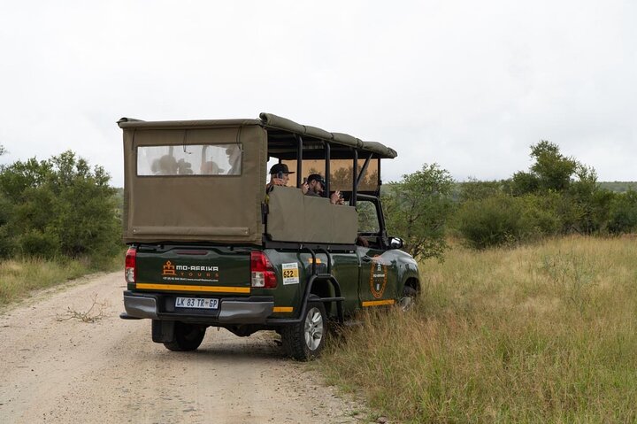 Upplev en spännande heldagssafari i Kruger National Park, upptäck djur från ett öppet fordon, foto 9 | wizardtrip