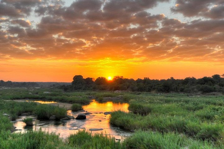 Ganztägiges Safari-Abenteuer im Pilanesberg-Nationalpark von Johannesburg aus mit Tierbeobachtungen und malerischen Landschaften, Foto 8 | wizardtrip