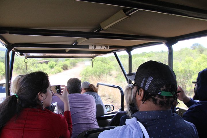Ganztägiges Safari-Abenteuer im Pilanesberg-Nationalpark von Johannesburg aus mit Tierbeobachtungen und malerischen Landschaften, Foto 9 | wizardtrip