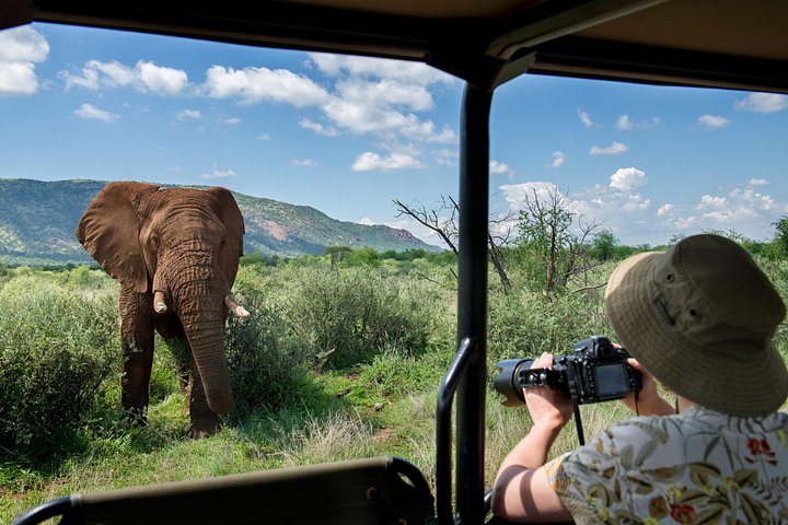 Ganztägiges Safari-Abenteuer im Pilanesberg-Nationalpark von Johannesburg aus mit Tierbeobachtungen und malerischen Landschaften, Foto 12 | wizardtrip