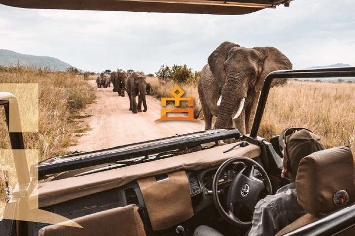 Ganztägiges Safari-Abenteuer im Pilanesberg-Nationalpark von Johannesburg aus mit Tierbeobachtungen und malerischen Landschaften, Foto 18 | wizardtrip