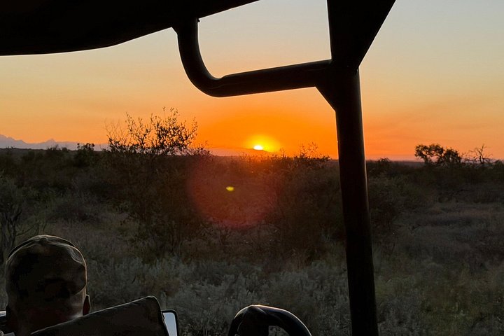Ganztägiges Safari-Abenteuer im Pilanesberg-Nationalpark von Johannesburg aus mit Tierbeobachtungen und malerischen Landschaften, Foto 22 | wizardtrip