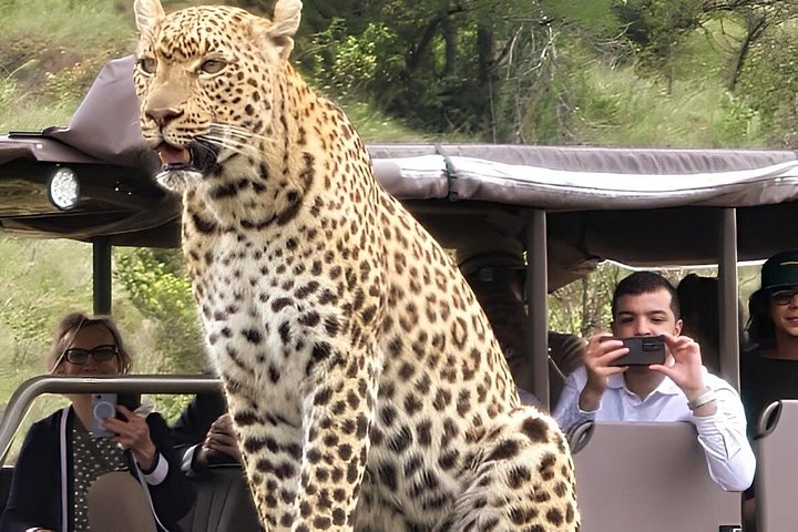 Ganztägiges Safari-Abenteuer im Pilanesberg-Nationalpark von Johannesburg aus mit Tierbeobachtungen und malerischen Landschaften, Foto 24 | wizardtrip
