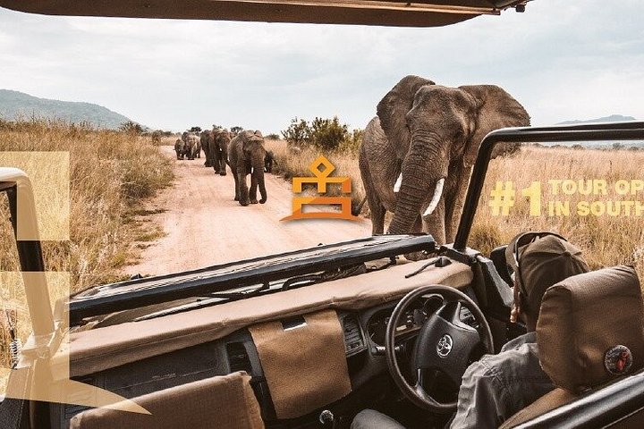 Ganztägiges Safari-Abenteuer im Pilanesberg-Nationalpark von Johannesburg aus mit Tierbeobachtungen und malerischen Landschaften, Foto 25 | wizardtrip
