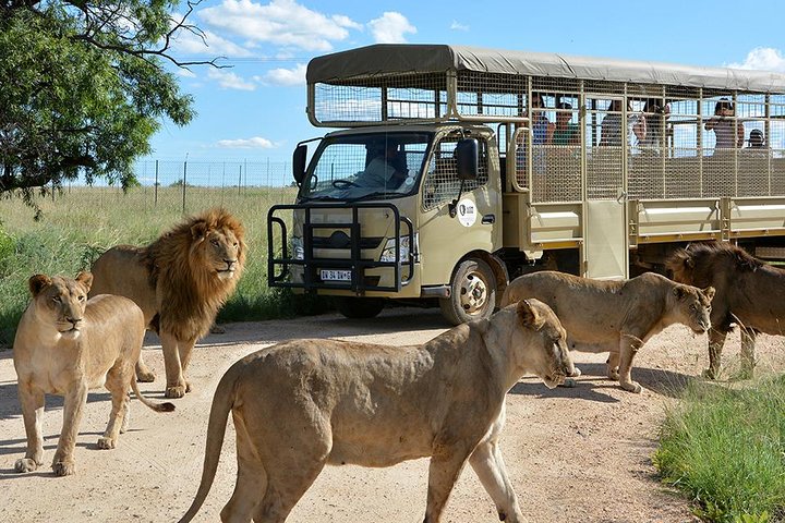 Johannesburg | wizardtrip