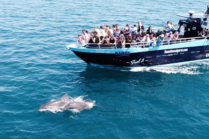 Tour in barca delle Grotte di Benagil e avvistamento delfini lungo la costa dell'Algarve a Portimão, foto 15 | wizardtrip