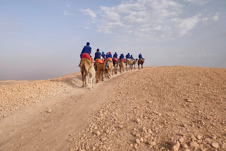 Balade à dos de dromadaire dans les palmeraies près de Marrakech, Maroc, photo 8 | wizardtrip