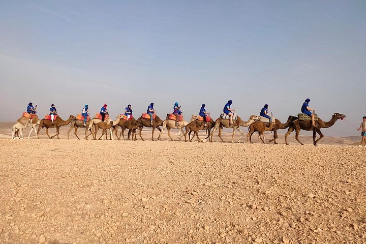 Balade à dos de dromadaire dans les palmeraies près de Marrakech, Maroc, photo 9 | wizardtrip
