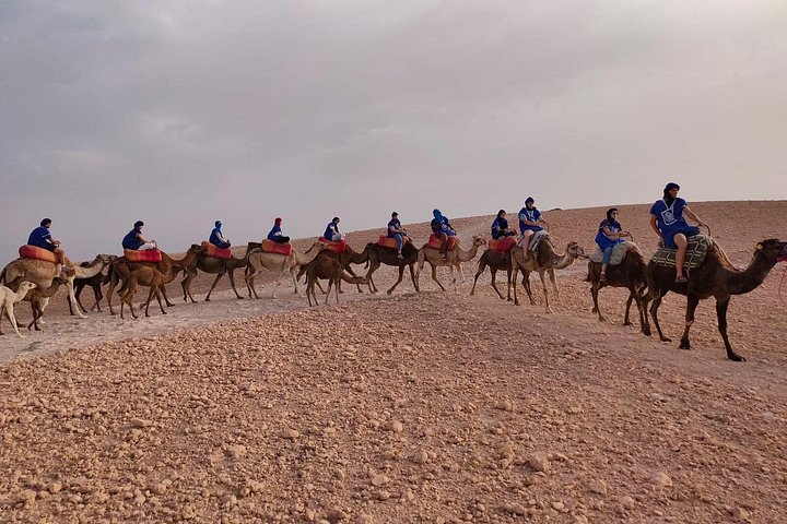 Balade à dos de dromadaire dans les palmeraies près de Marrakech, Maroc, photo 10 | wizardtrip
