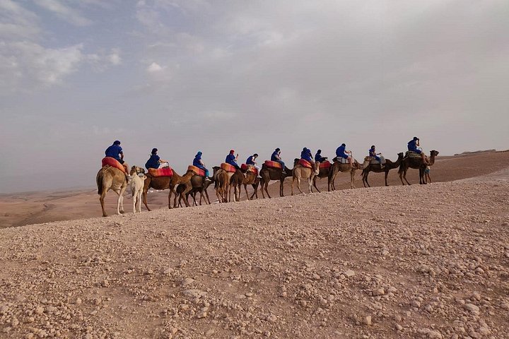 Balade à dos de dromadaire dans les palmeraies près de Marrakech, Maroc, photo 11 | wizardtrip