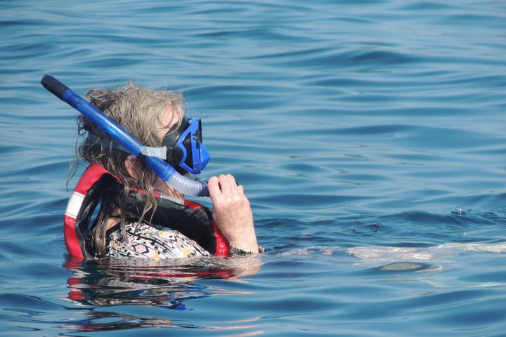 Geniet van een boottocht naar de Rosario Eilanden vanuit Cartagena, met snorkelen, prachtige stranden en lunch op het eiland, foto 16 | wizardtrip