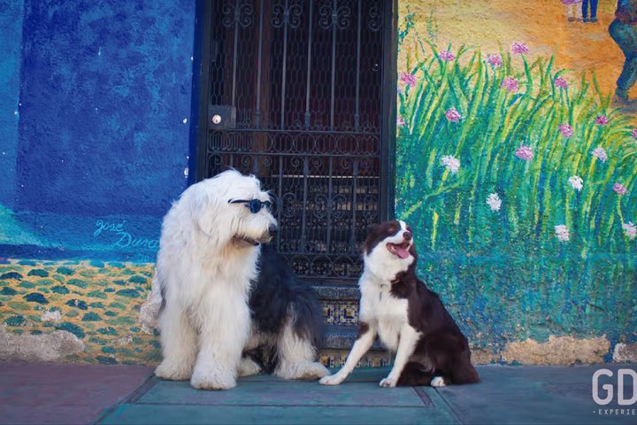 Private tour to Lake Chapala and Ajijic from Guadalajara, Mexico, featuring tequila tasting and scenic views, photo 23 | wizardtrip